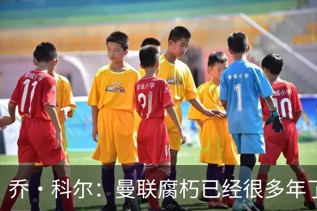 乔·科尔：曼联腐朽已经很多年了，有些球员没那个实力为曼联效力