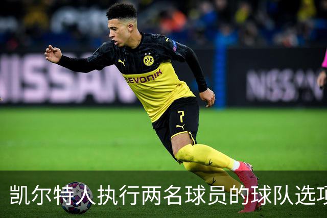 凯尔特人执行两名球员的球队选项，他们都是轮换阵容的重要成员