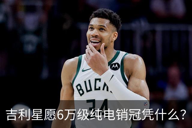 吉利星愿6万级纯电销冠凭什么？第二代海鸥今天上市能撼动它吗？