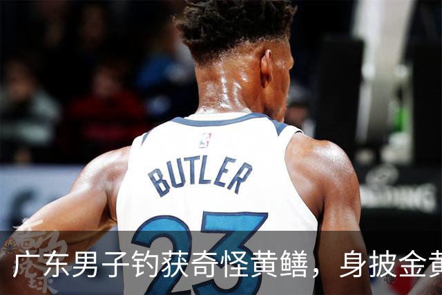 广东男子钓获奇怪黄鳝，身披金黄蟒纹，网友：快放生！准备化蛟了！