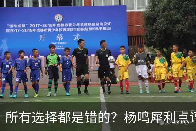 所有选择都是错的？杨鸣犀利点评崔永熙 他的话不一定全对
