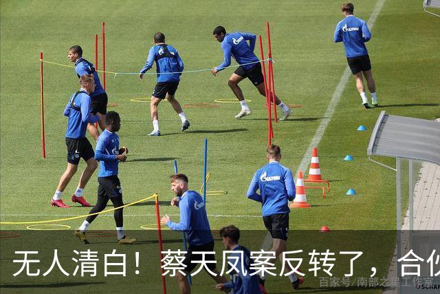 无人清白！蔡天凤案反转了，合伙前夫倒卖名表，前公公趁火打劫
