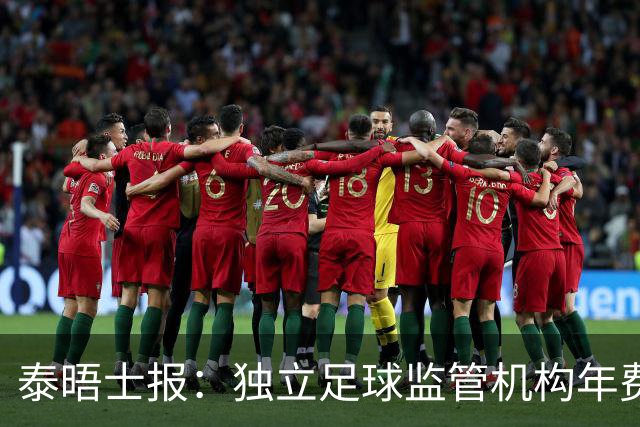 泰晤士报：独立足球监管机构年费2000万镑，英超出大头