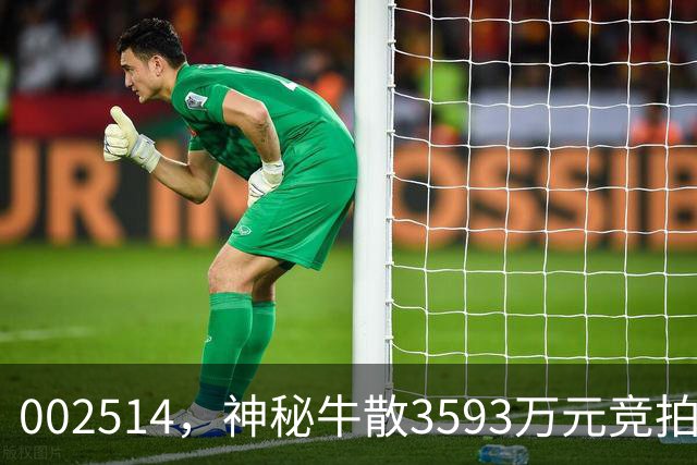 002514，神秘牛散3593万元竞拍股权，将成第三大股东